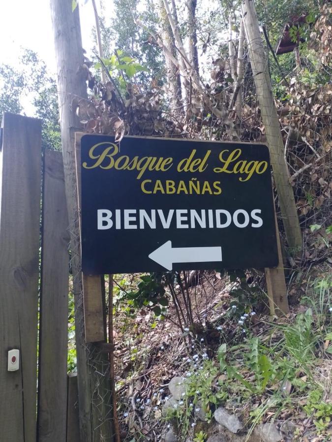 Bosque Del Lago Pucón Exteriér fotografie